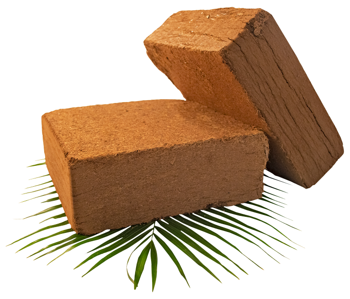 two cocopeat blocks